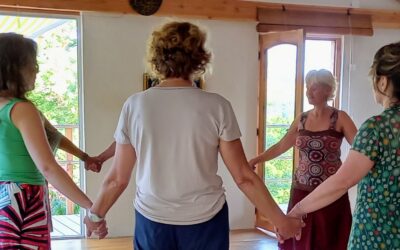 Matinées BIODANZA – Danse Ta Vie à Foix